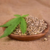 Hemp Seed Extract (Hydrolyzed Cannabis Sativa Seed)