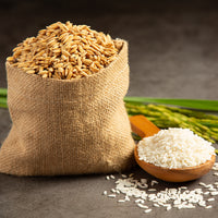Rice Protein (Hydrolyzed)