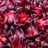 Hibiscus Extract (Hibiscus Sabdariffa)