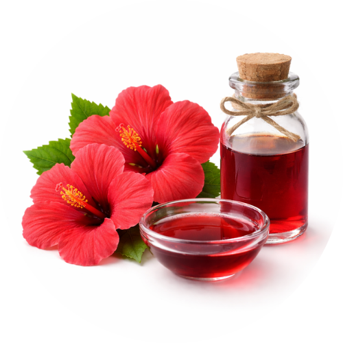 Hibiscus Extract (Hibiscus Sabdariffa)