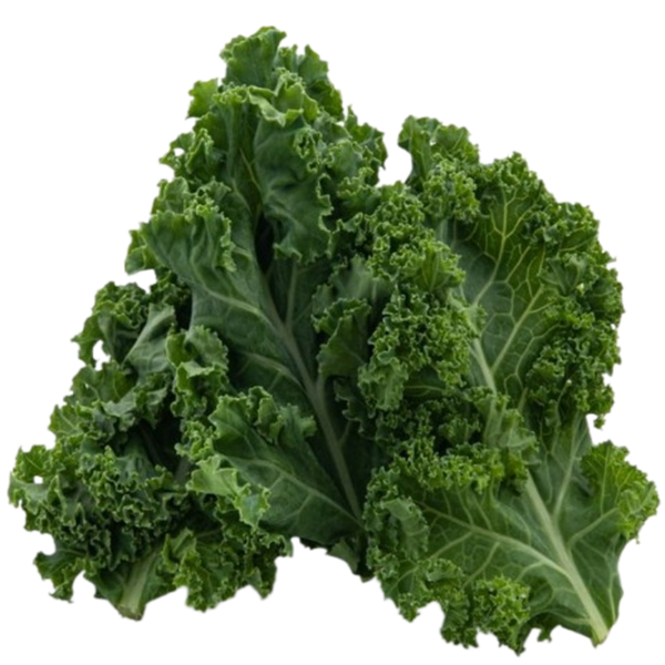 Kale Extract